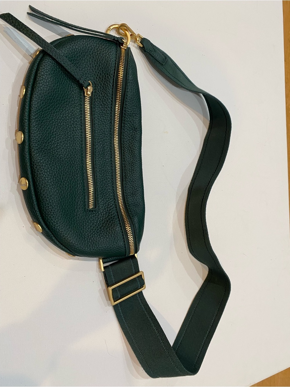Hammitt Charles Dark Green Leather Crossbody Belt Bag with Gold Hardware Medium - Picture 3 of 9